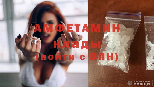 мдпв Ельня