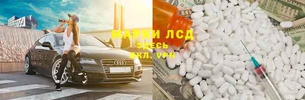 мдпв Ельня