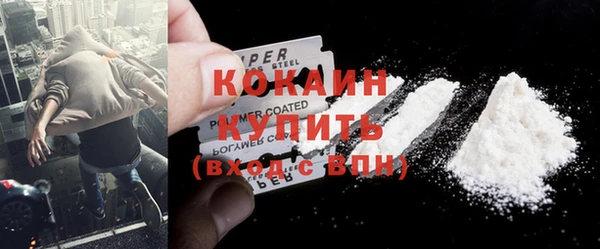 мдпв Ельня