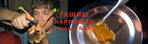мдпв Ельня