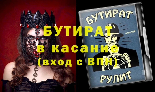 мдпв Ельня