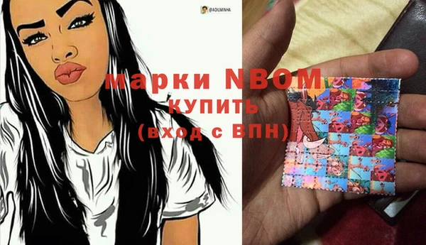 мдпв Ельня