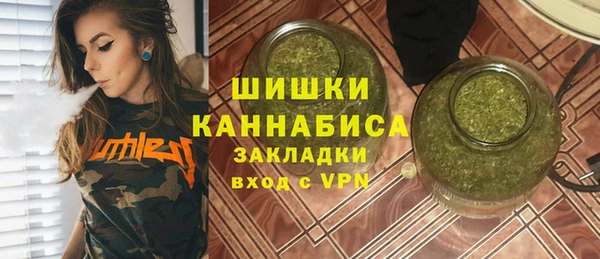 мдпв Ельня