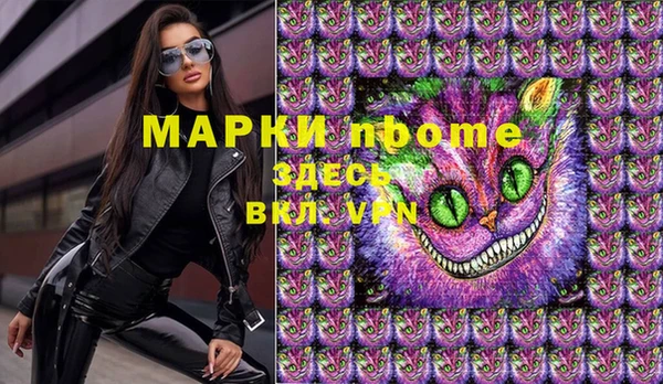 мдпв Ельня