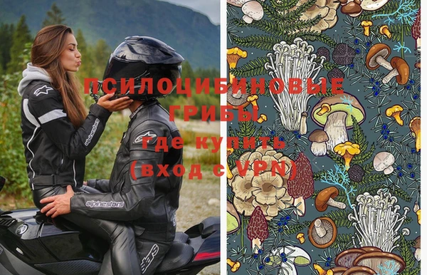 мдпв Ельня