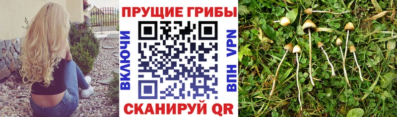 Галлюциногенные грибы мухоморы  Купить где  Петухово 